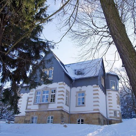 Villa-Unger Altenberg  Kültér fotó